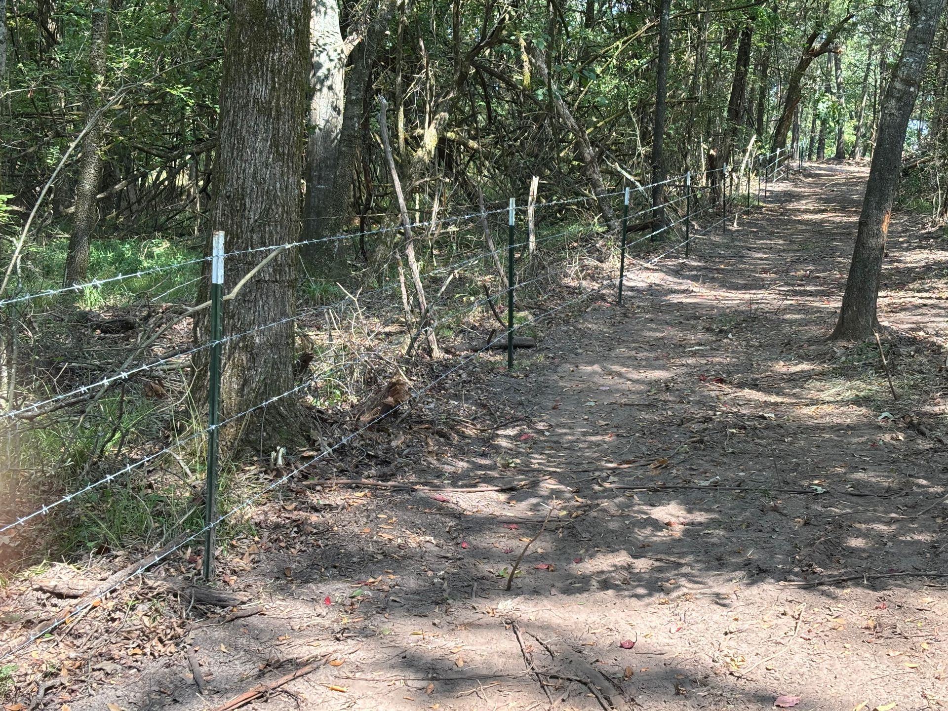 Wooded dirt trail beside a wire fence in a forested area