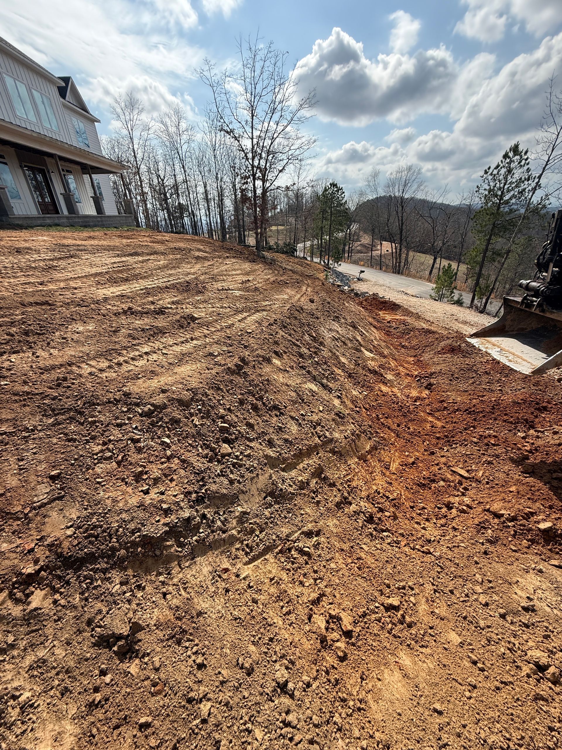 Bare hillside with mulch, leafless trees, and a house under a cloudy sky
