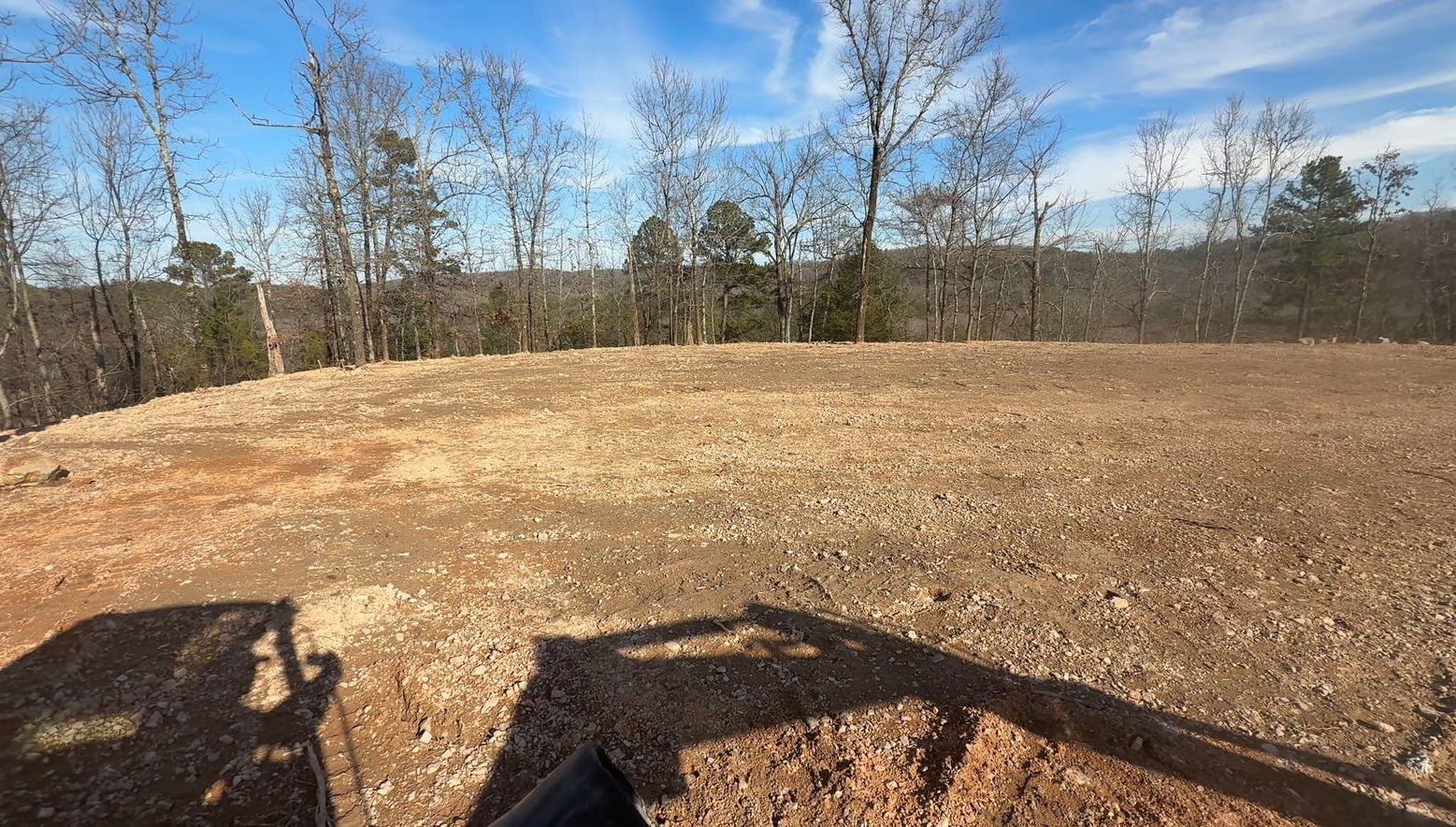 Wooded hillside clearing with bare trees, brown ground cover, and a blue sky on a sunny day