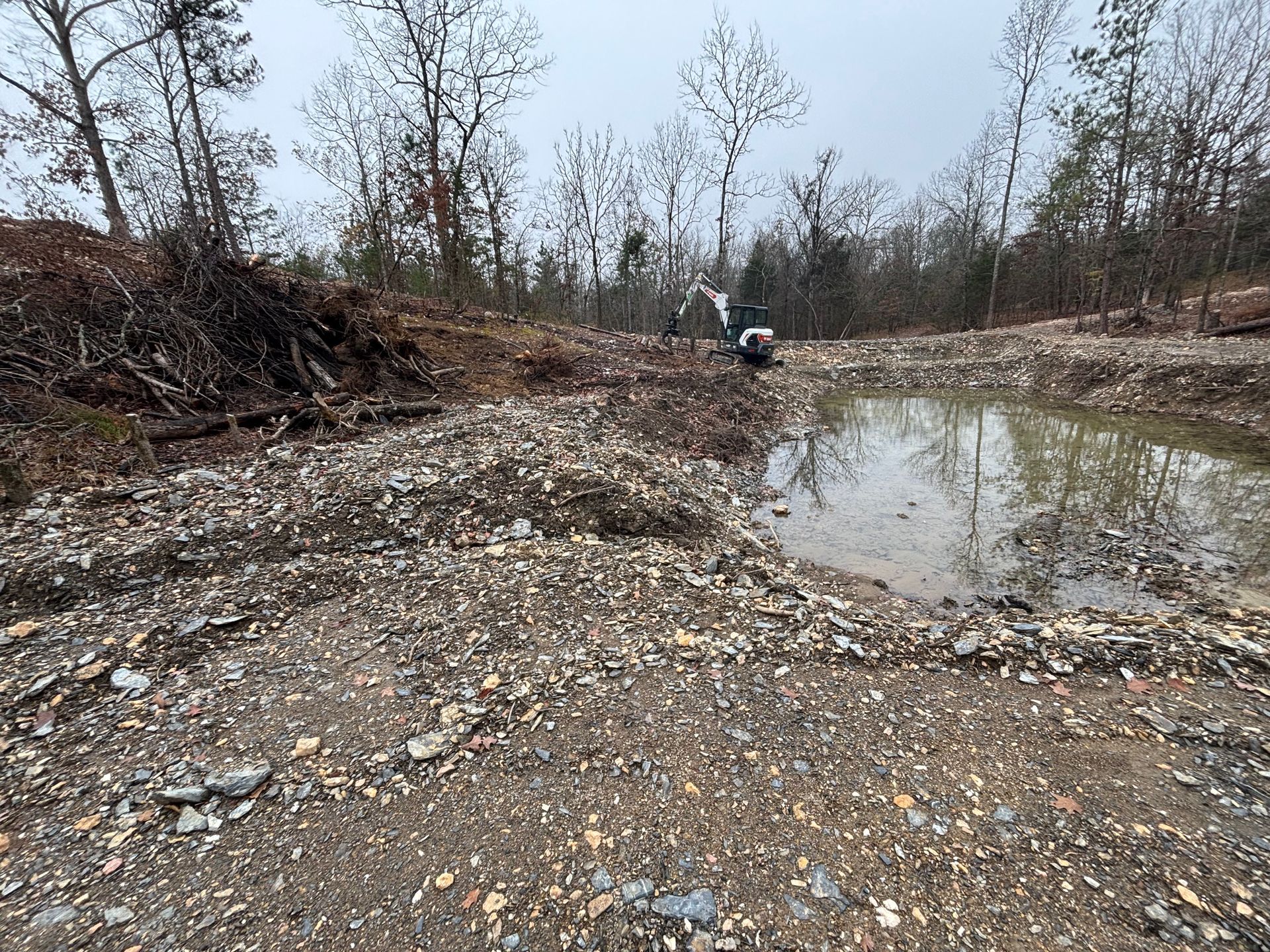 Rocky muddy clearing with standing water and leafless trees under an overcast sky.