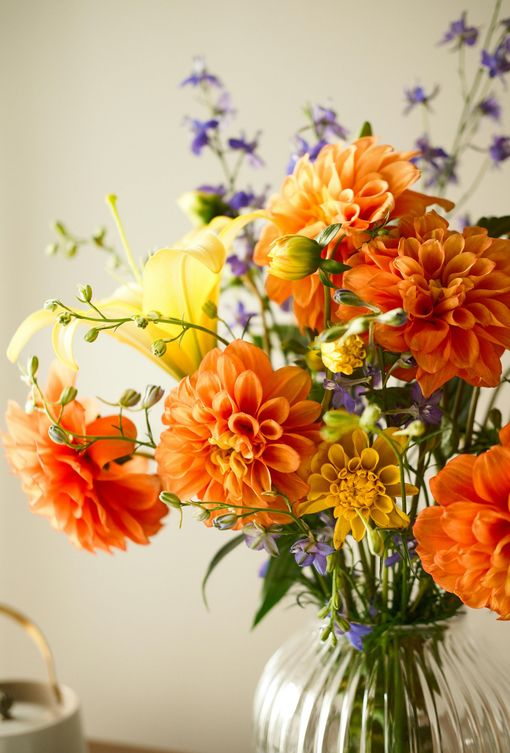 Orange dahlias, yellow lilies, and blue flowers in a clear, ribbed glass vase.