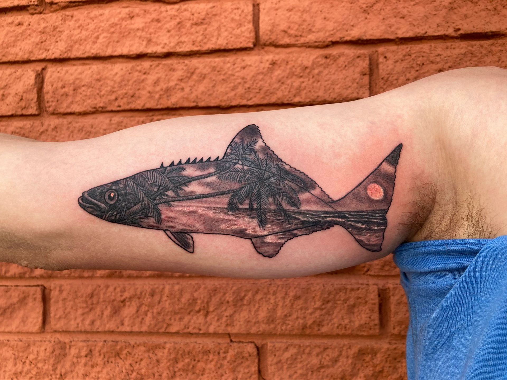 A man has a tattoo of a shark on his arm.