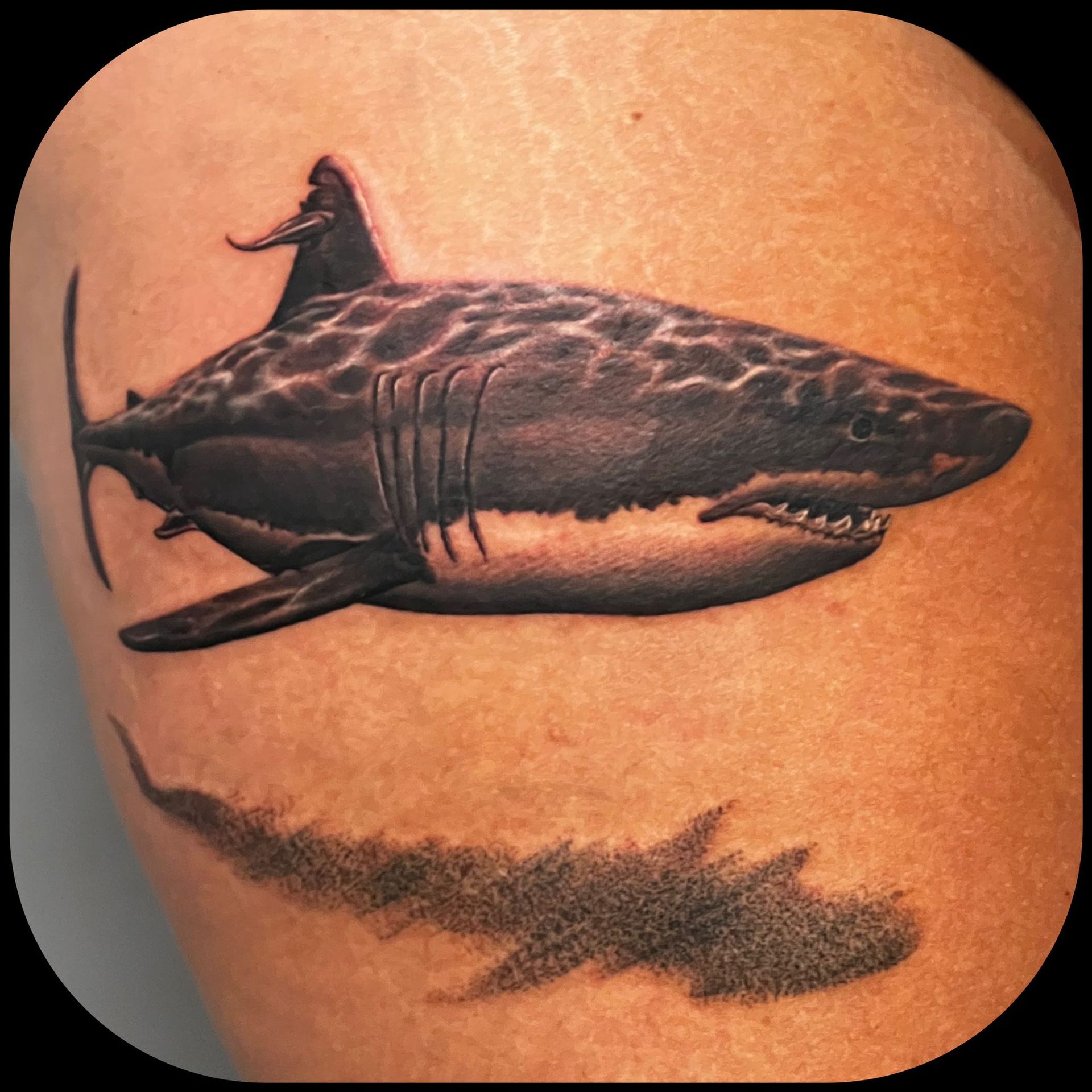 A tattoo of a shark on a person 's arm