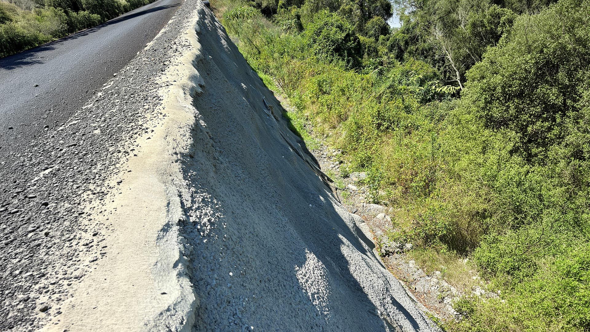 Narrow gravel road with a steep shoulder beside dense green vegetation in bright sunlight