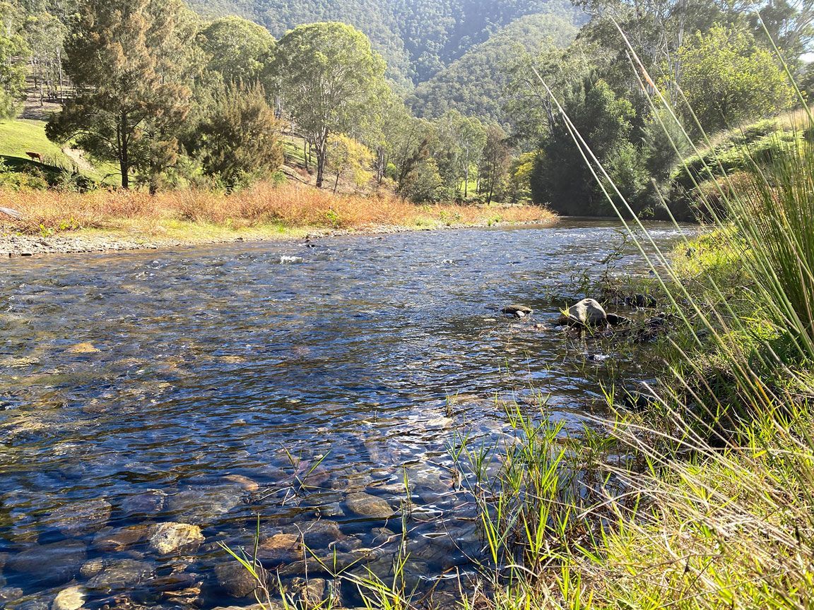 Sunny river flowing through a wooded landscape with rocks, grassy banks, and trees