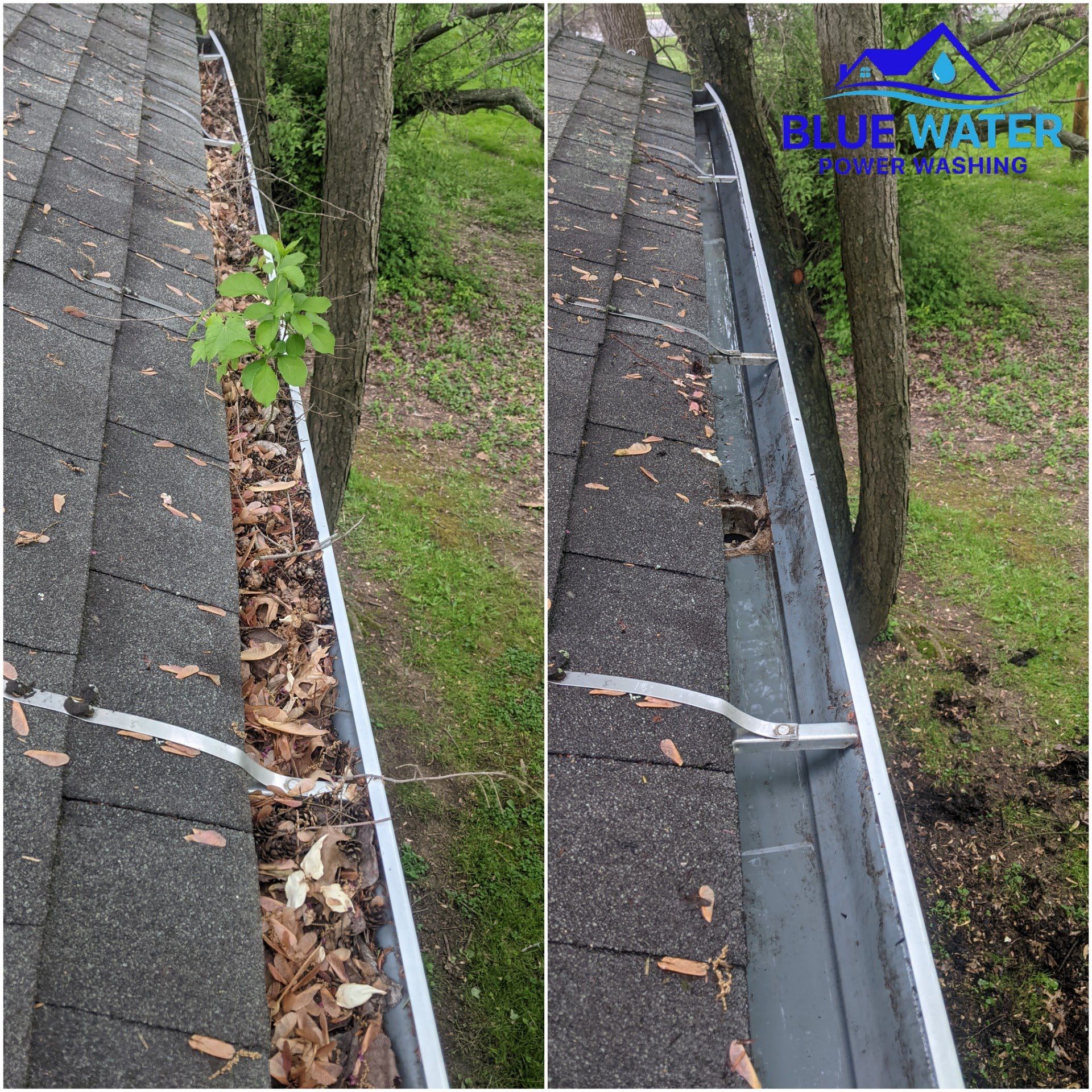 Gutter Cleaning Service in King of Prussia PA 19406