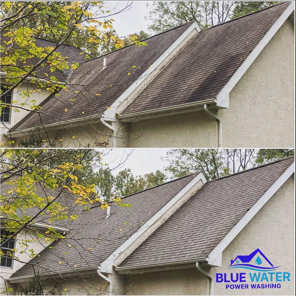 Roof Cleaning Service