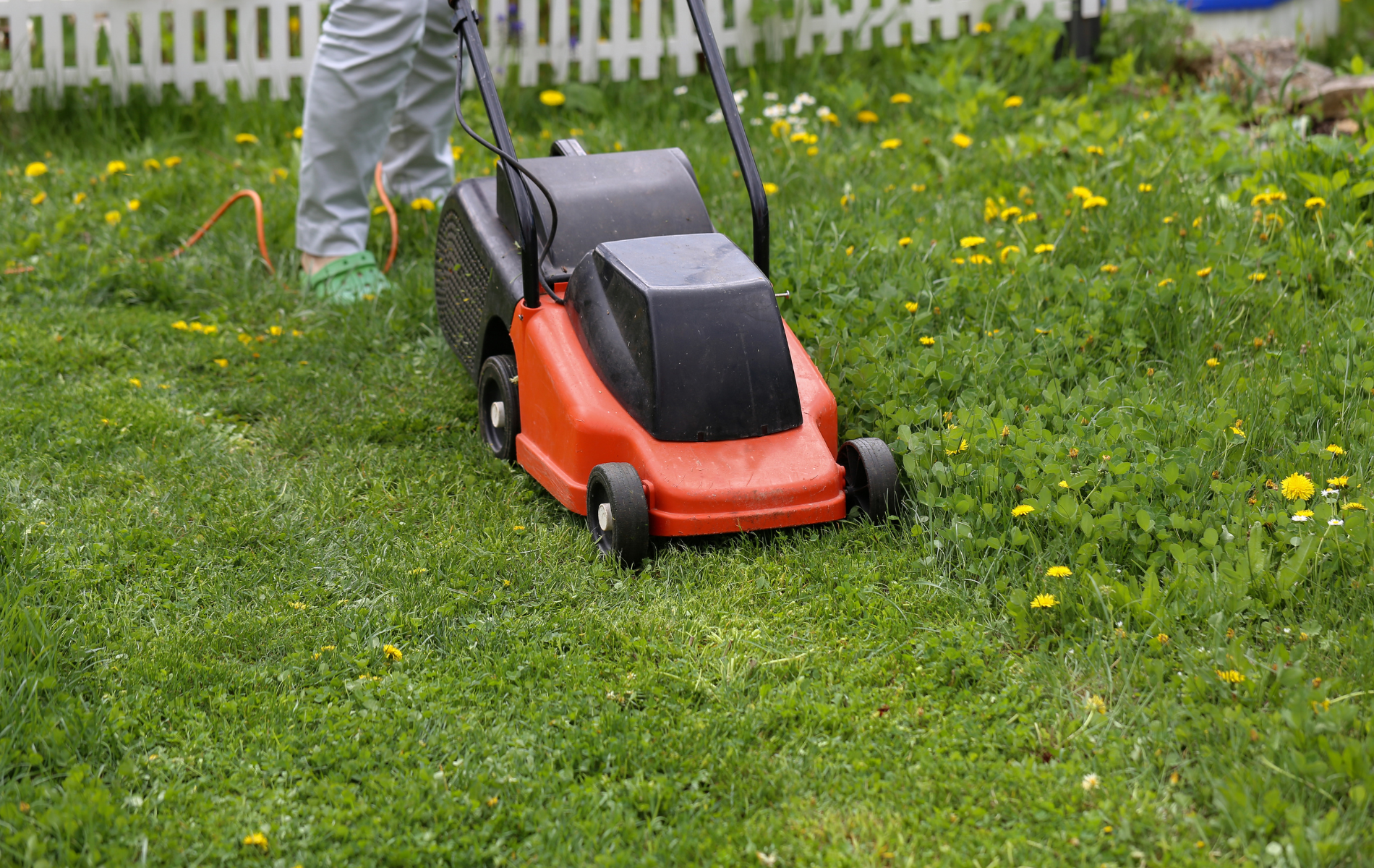 Person mowing a grassy lawn with a red and black electric mower near a white fence