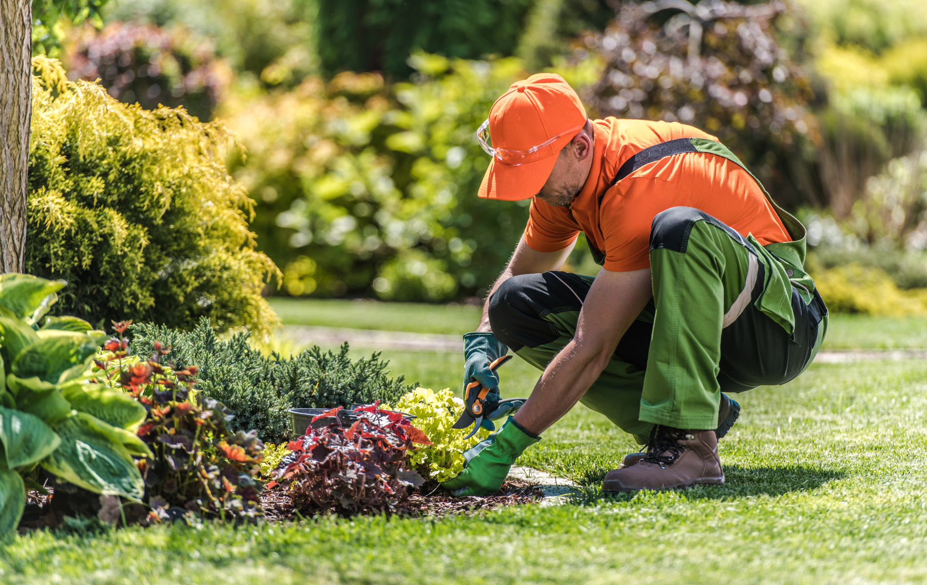 Gardener in orange cap and green pants planting flowers in a sunny garden