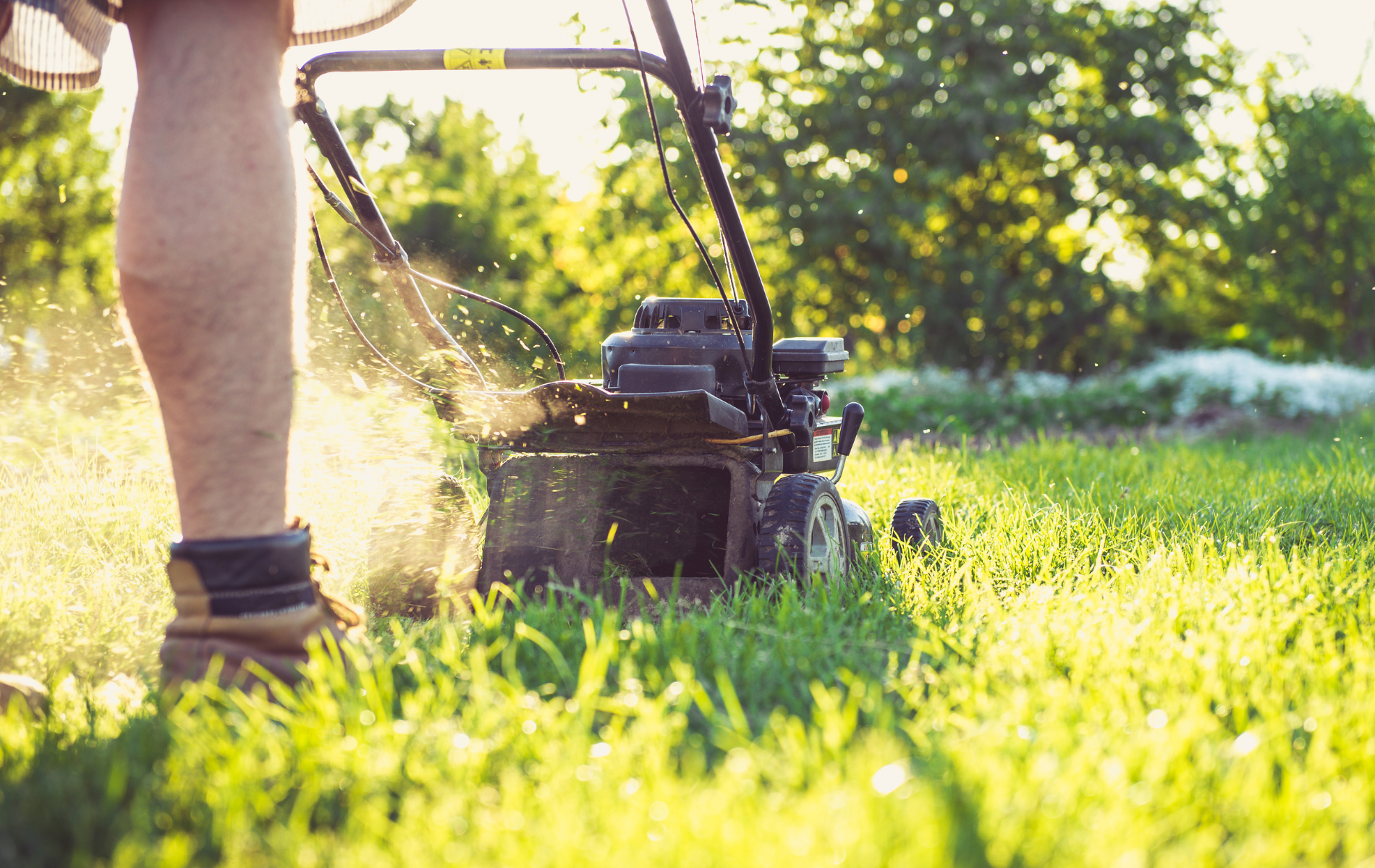 Person mowing grass with a lawn mower in a sunny yard