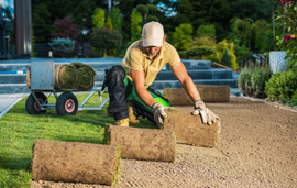 Worker laying sod in a garden with a wheelbarrow and rolled turf nearby