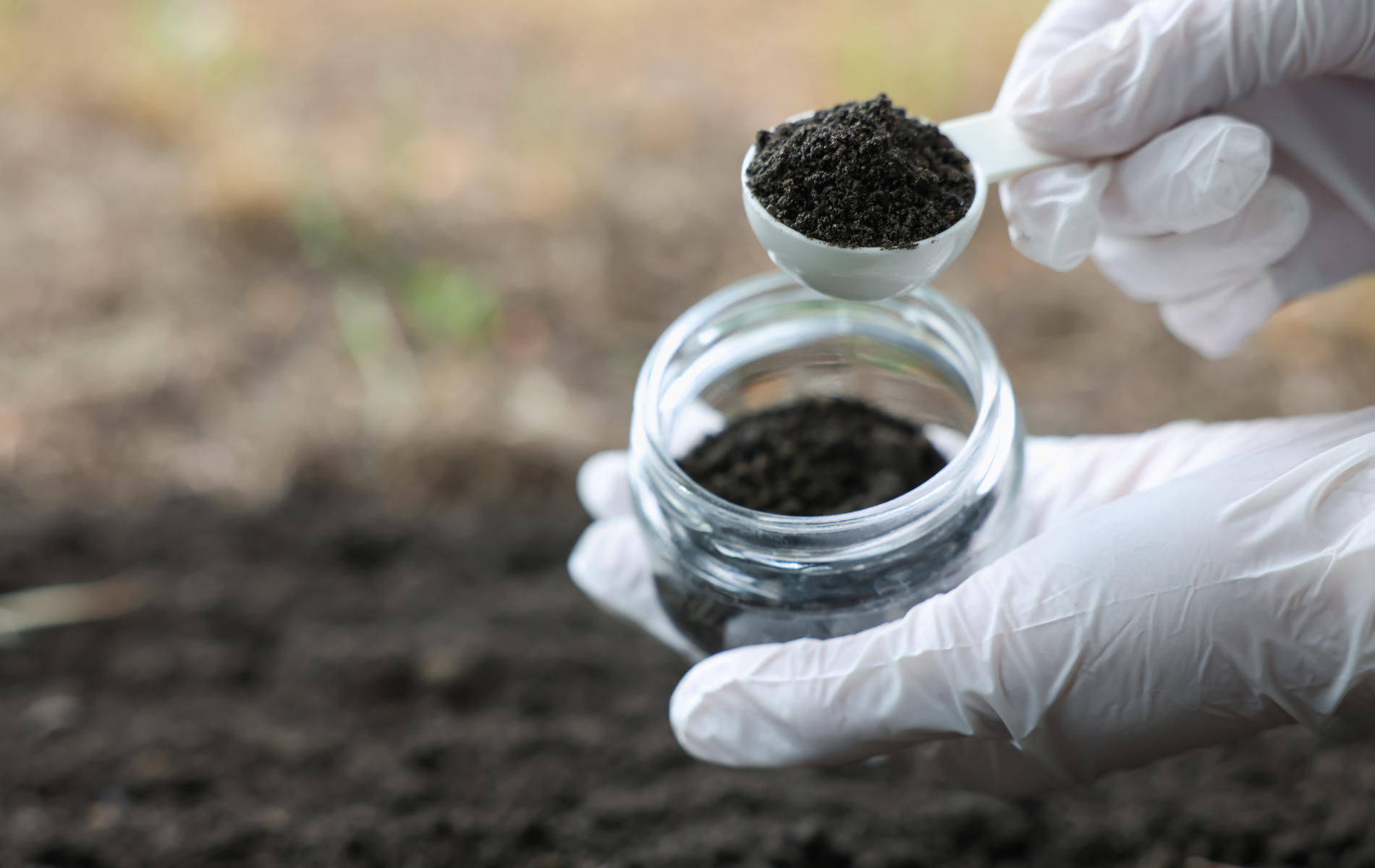 Gloved hands holding a jar and spoonful of dark soil over a garden bed