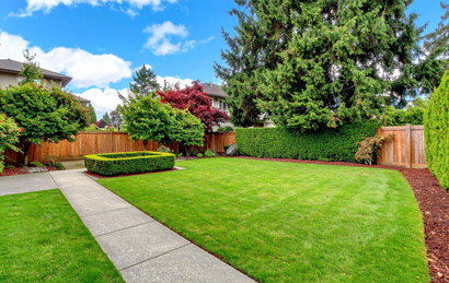 Backyard with a manicured lawn, concrete path, wooden fences, and trees under a blue sky
