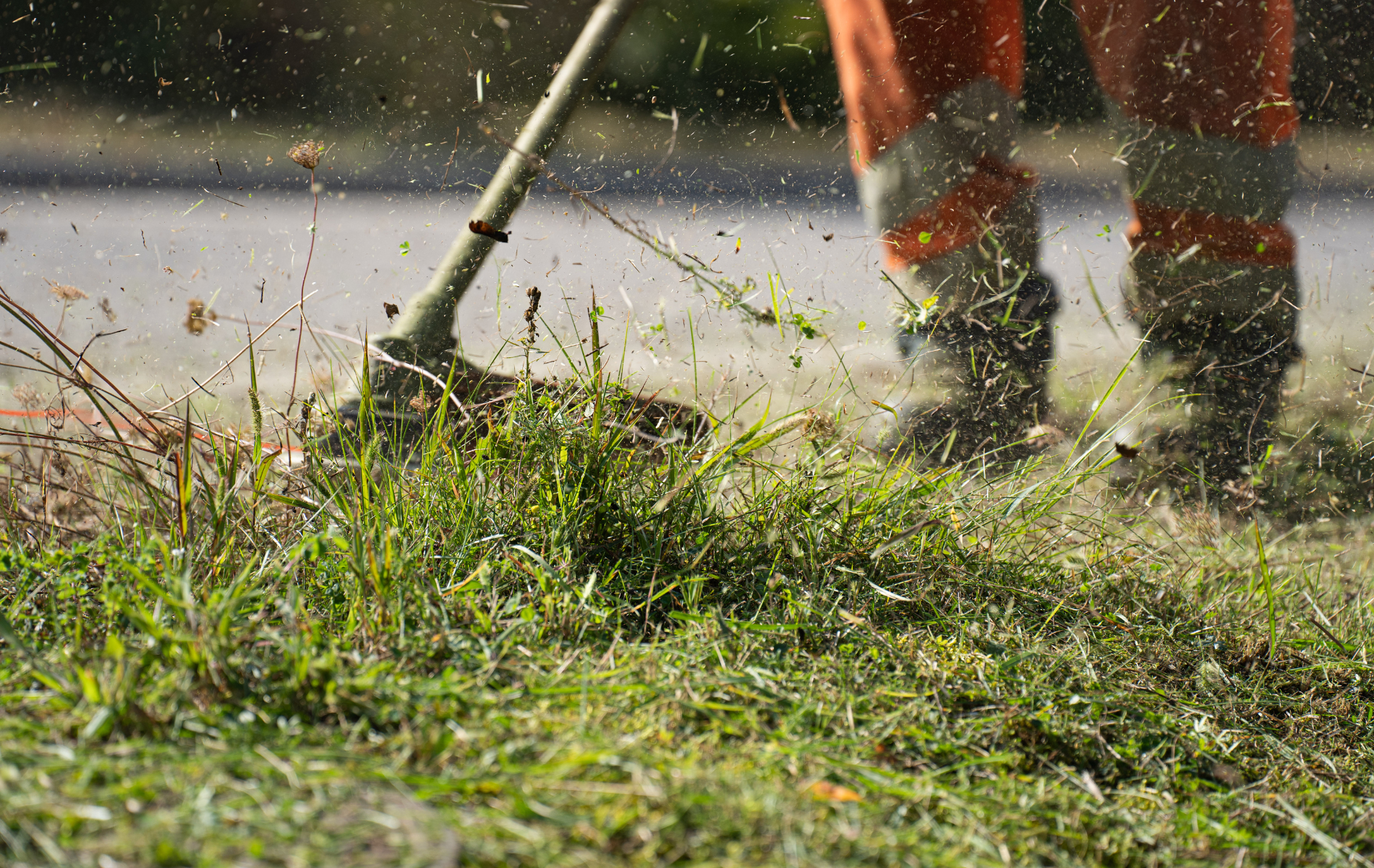 Person using a string trimmer to cut grass beside a road, with clippings flying.