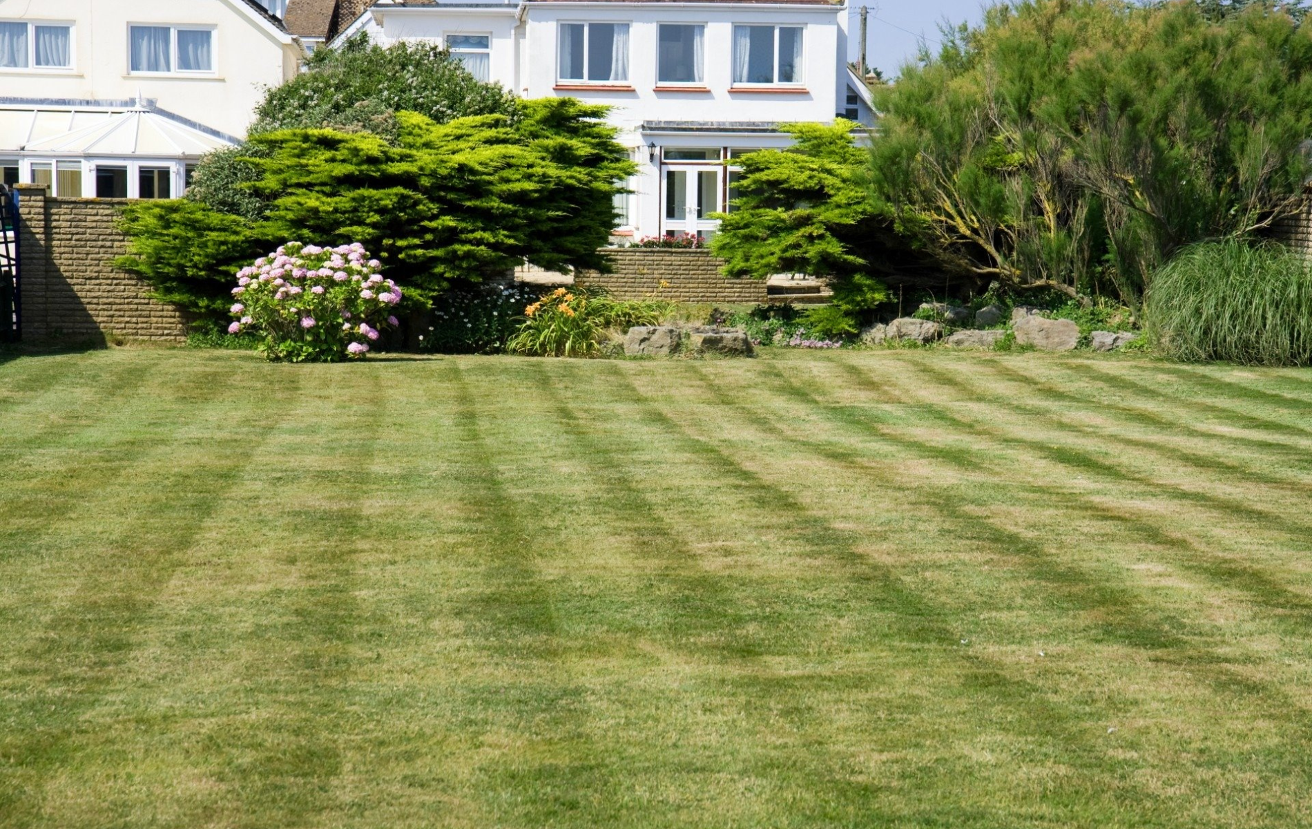 Large mowed lawn with striped grass in front of a house and garden shrubs