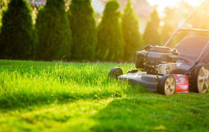 Lawn mower cutting green grass in a sunny garden with tall trees in the background