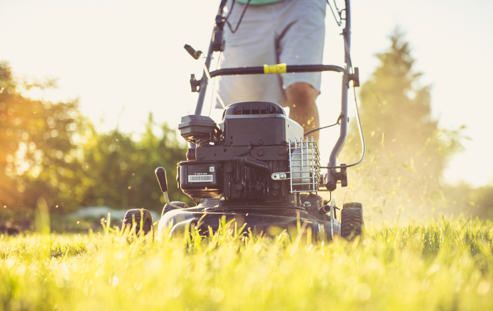 Person mowing a sunlit lawn with a push mower in a grassy yard