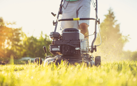 Person mowing a sunlit grassy lawn with a push mower and trimmer in the background