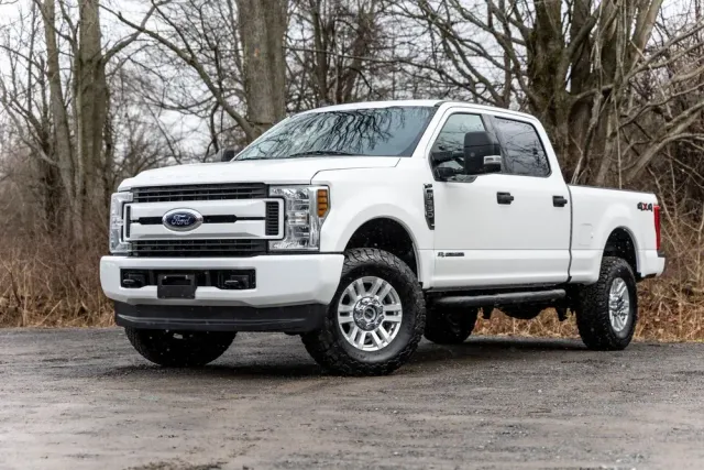 White Ford pickup truck parked on a wet roadside with bare trees in the background