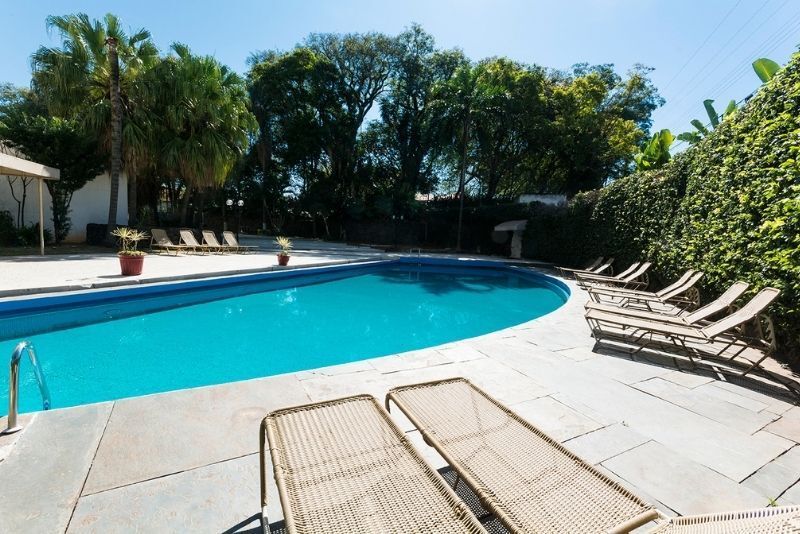 Piscina externa ensolarada com espreguiçadeiras, rodeada por palmeiras e vegetação.