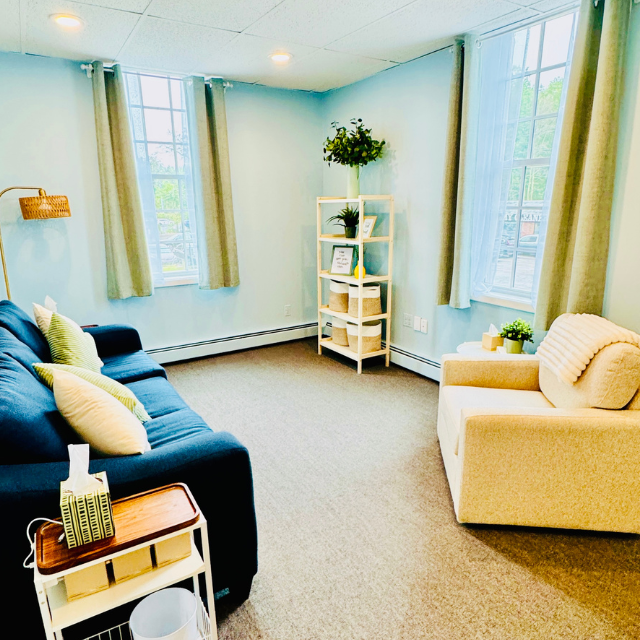 Bright living room with blue sofa, beige chair, and tall windows around a small shelf.