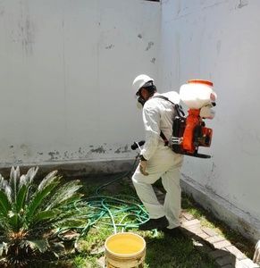 Un trabajador con equipo de protección blanco rocía una pared blanca con un pulverizador de mochila en un rincón del jardín.