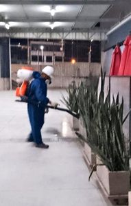 Trabajadores con uniformes azules rocían plantas en el interior con una manguera.