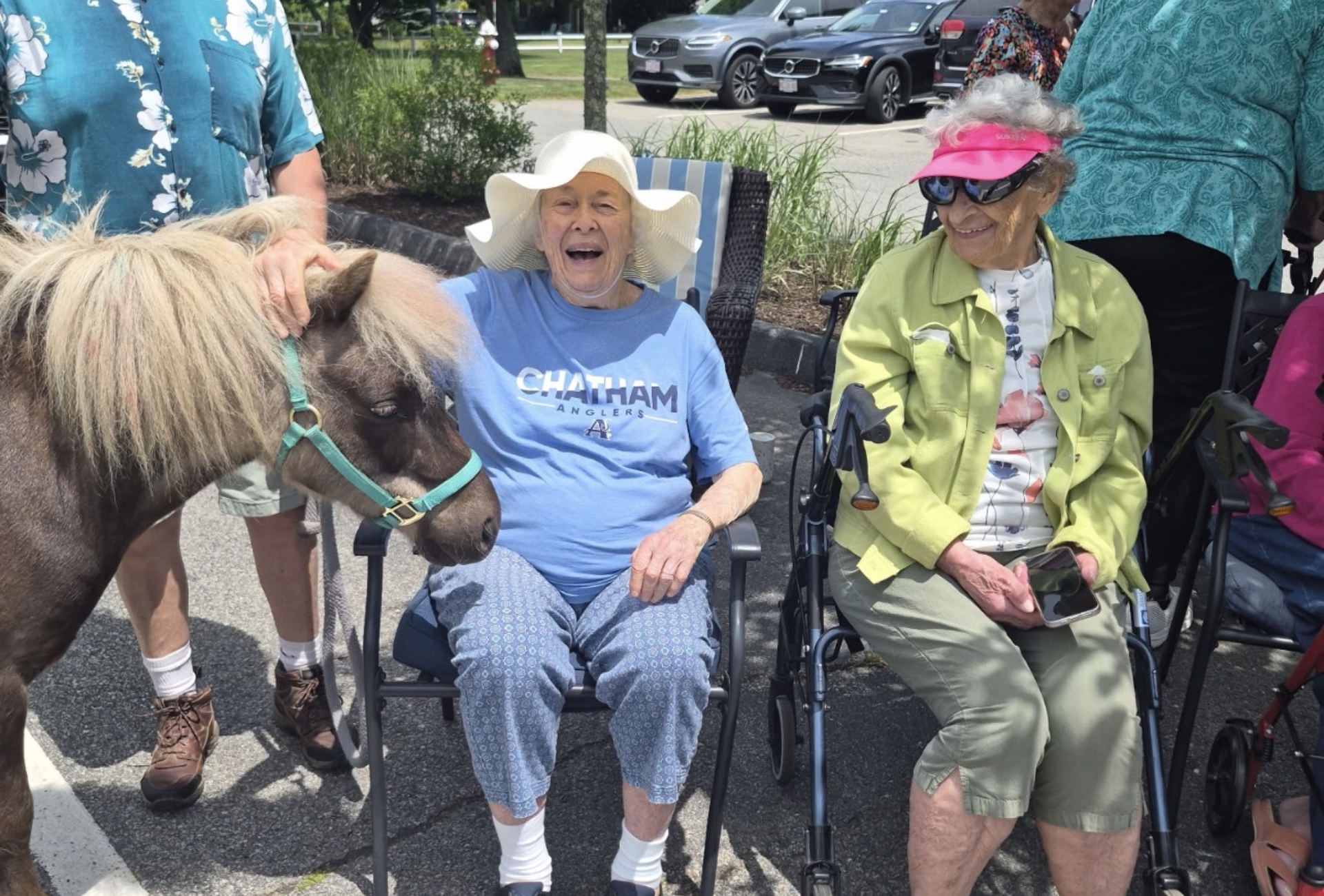 Petting a Mini Horse