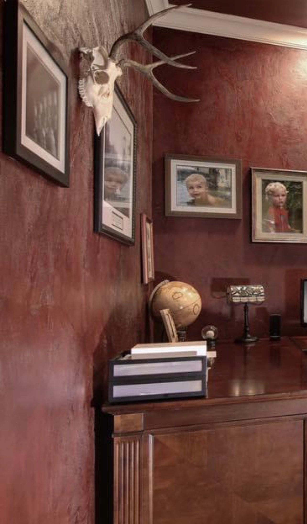 Venetian plaster organic