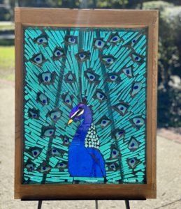 Peacock