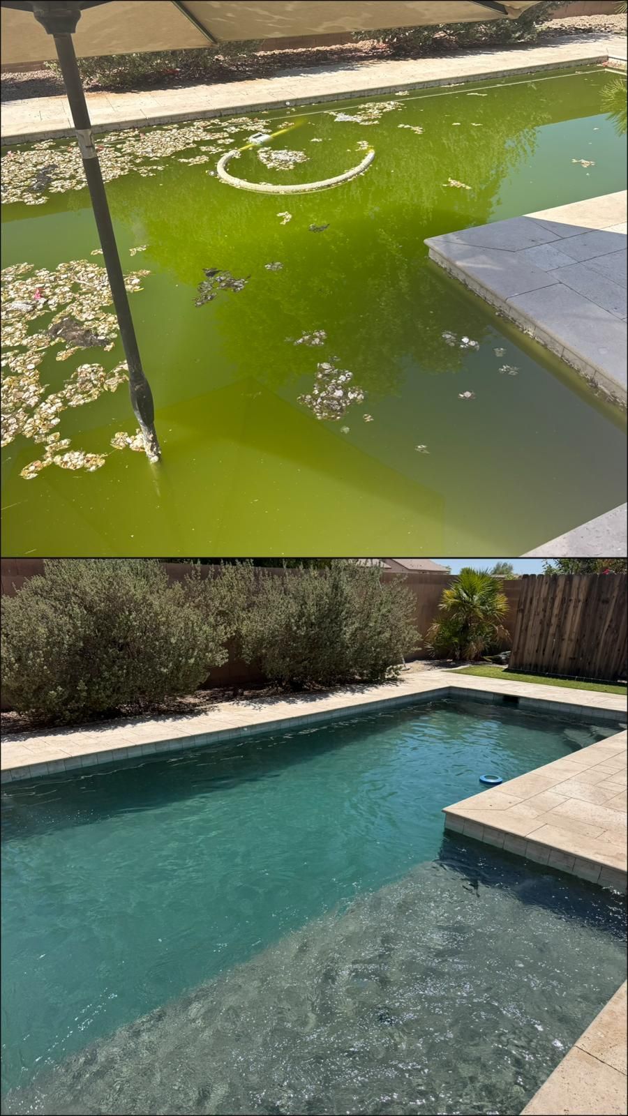 A swimming pool edge with metal handrails, featuring the reflection of a palm tree on the surface of the blue water.