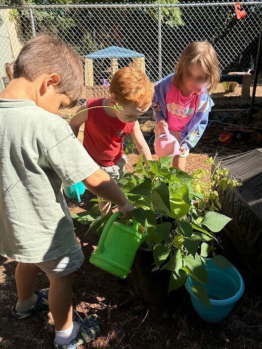 Children watering plants in a garden with green and blue watering cans