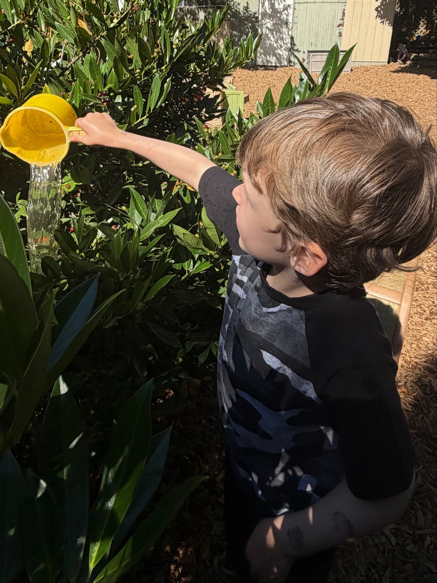 Child watering plants with a yellow cup in a sunny garden.