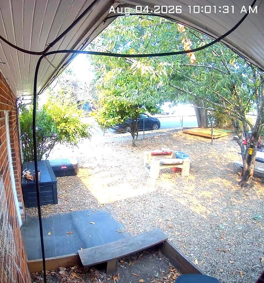 Front porch view of a leafy yard with a parked car, bench, and table under trees in bright sunlight.