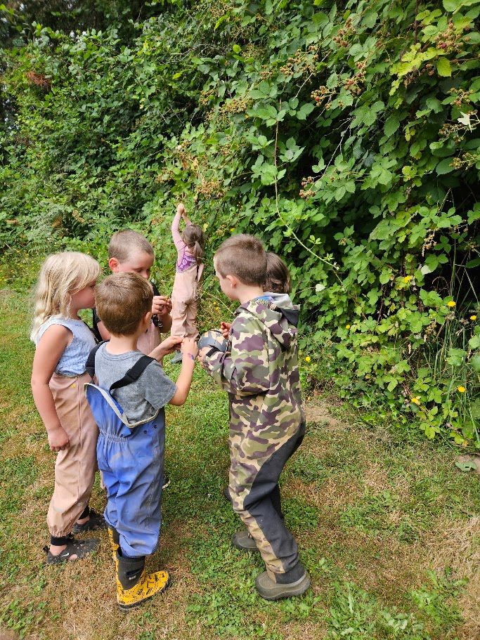 Four children reaching toward a dense green hedge on a grassy path outdoors