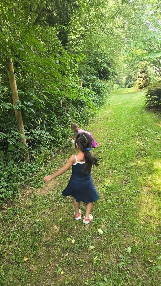 Child in a navy dress walking on a grassy path beside dense green trees.