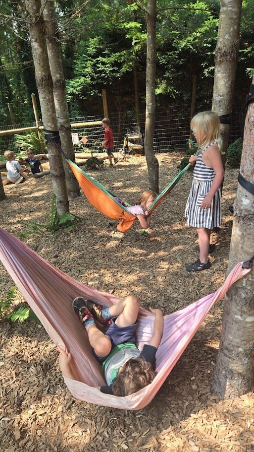 Children relaxing in hammocks in a wooded campsite