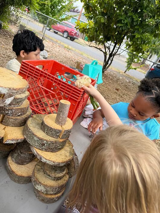 Children stacking wood rounds outdoors around a red crate and tree in a park.