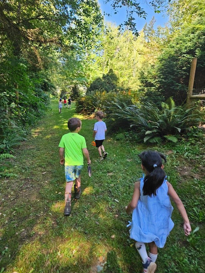 Children walking along a mossy forest trail in bright summer light