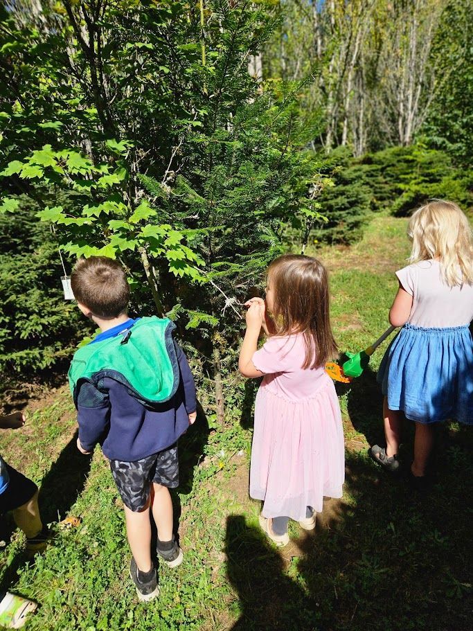 Three children standing on grass, looking toward dense green plants in a sunny garden.