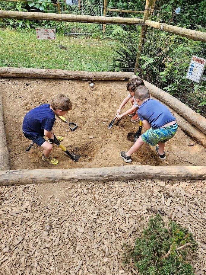 Three children dig in a sandbox with shovels, surrounded by logs and dirt in an outdoor play area.