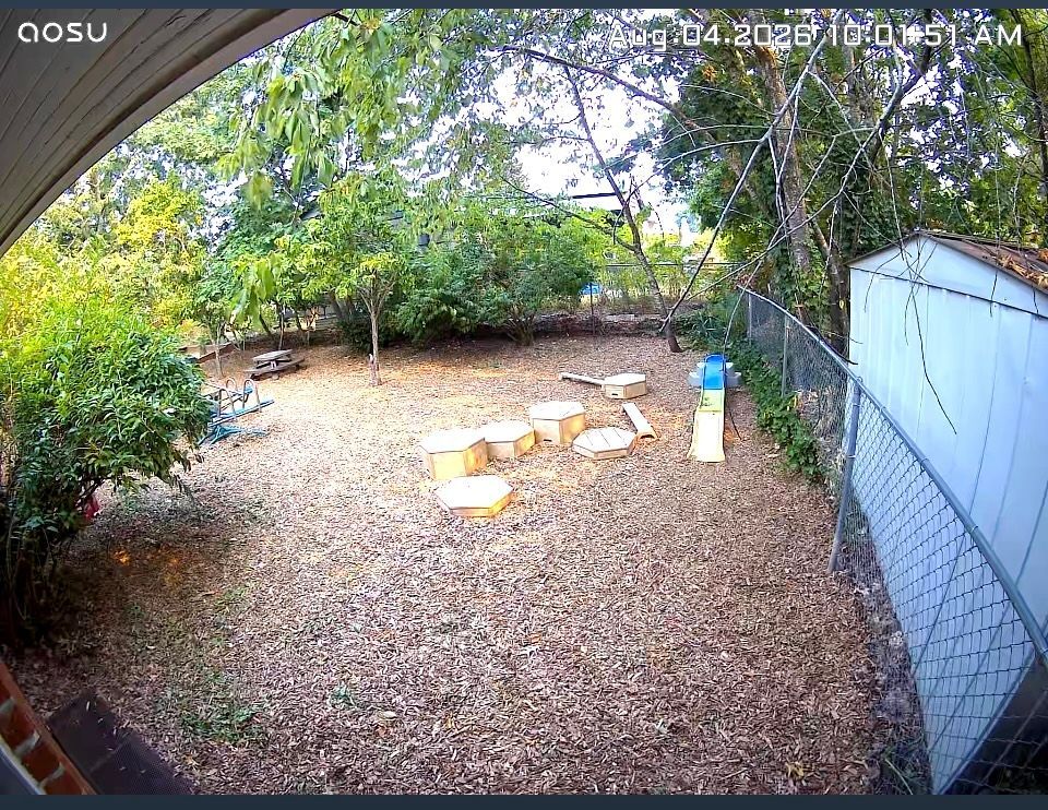 Backyard with gravel ground, chairs, trees, and a blue shed beside a chain-link fence.