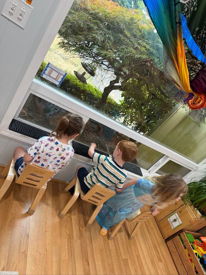 Three children seated at a classroom window, looking outside at a large tree and greenery.