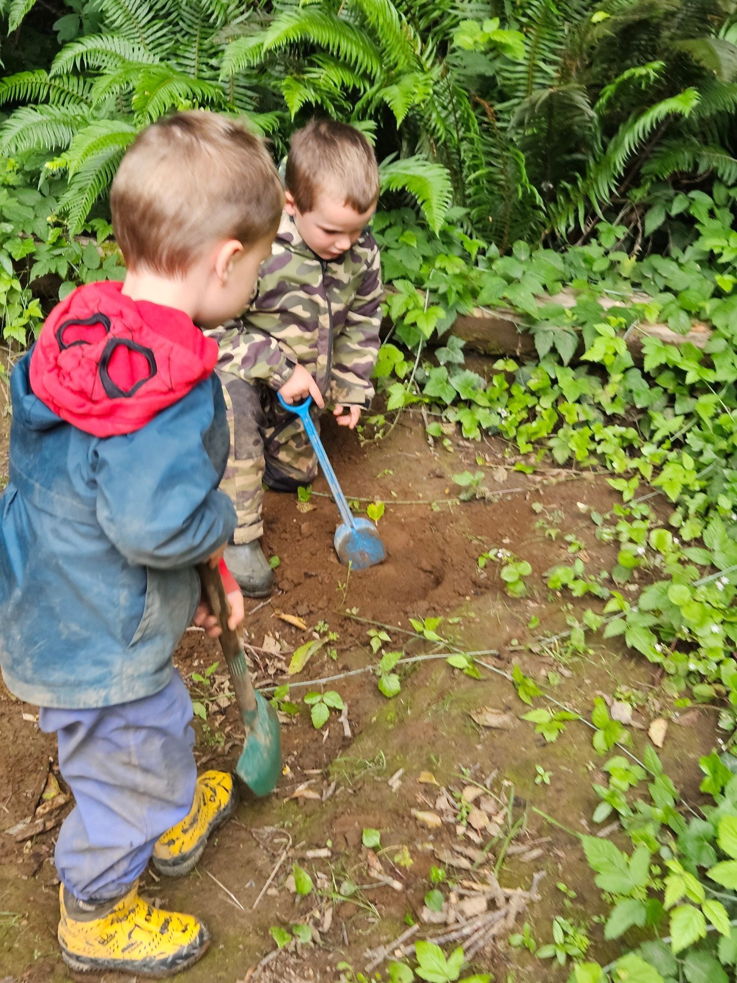 Two children in rain boots and jackets digging in dirt with small shovels beside green plants.