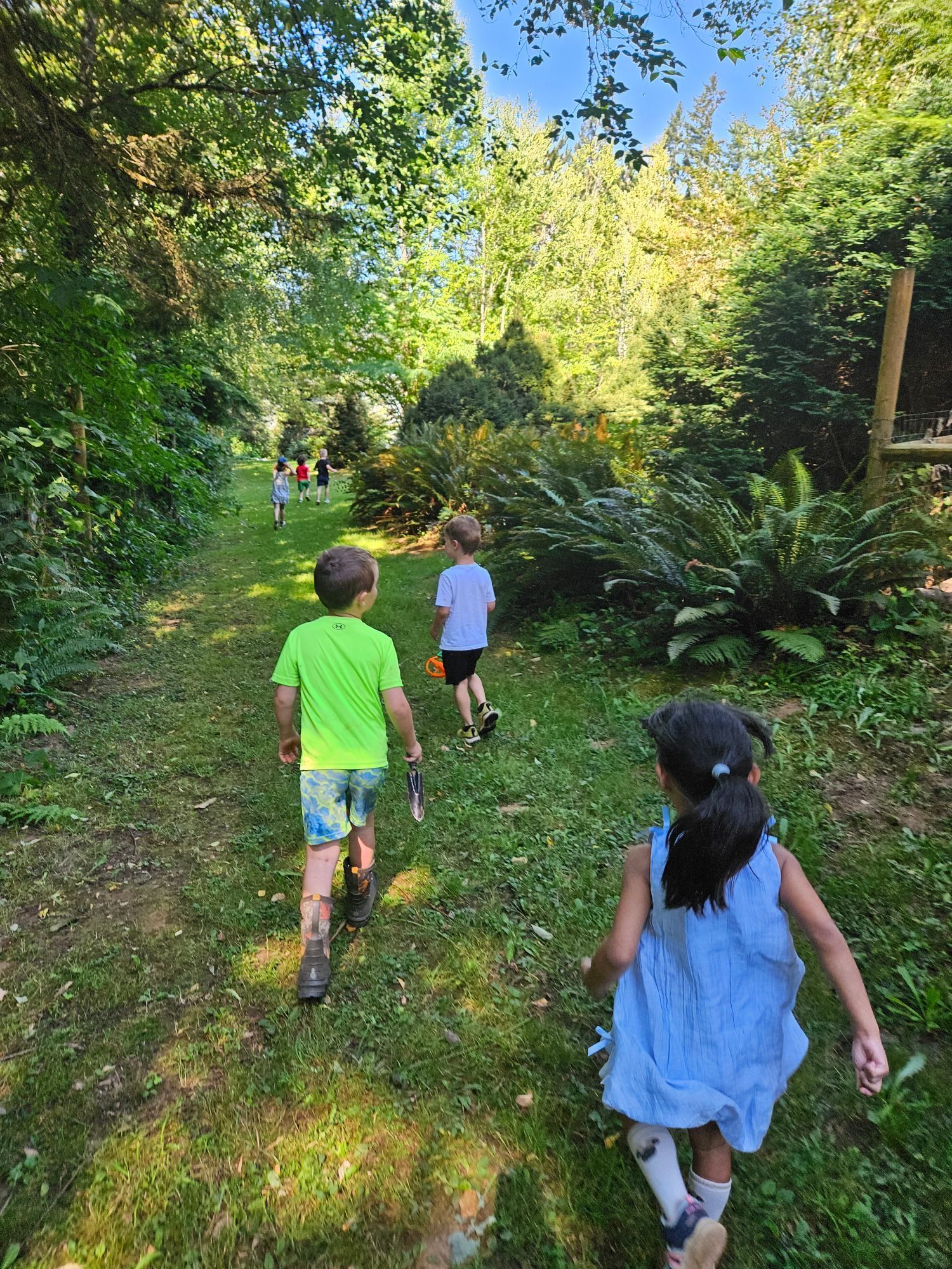 Children walking along a sunlit forest trail surrounded by green foliage.