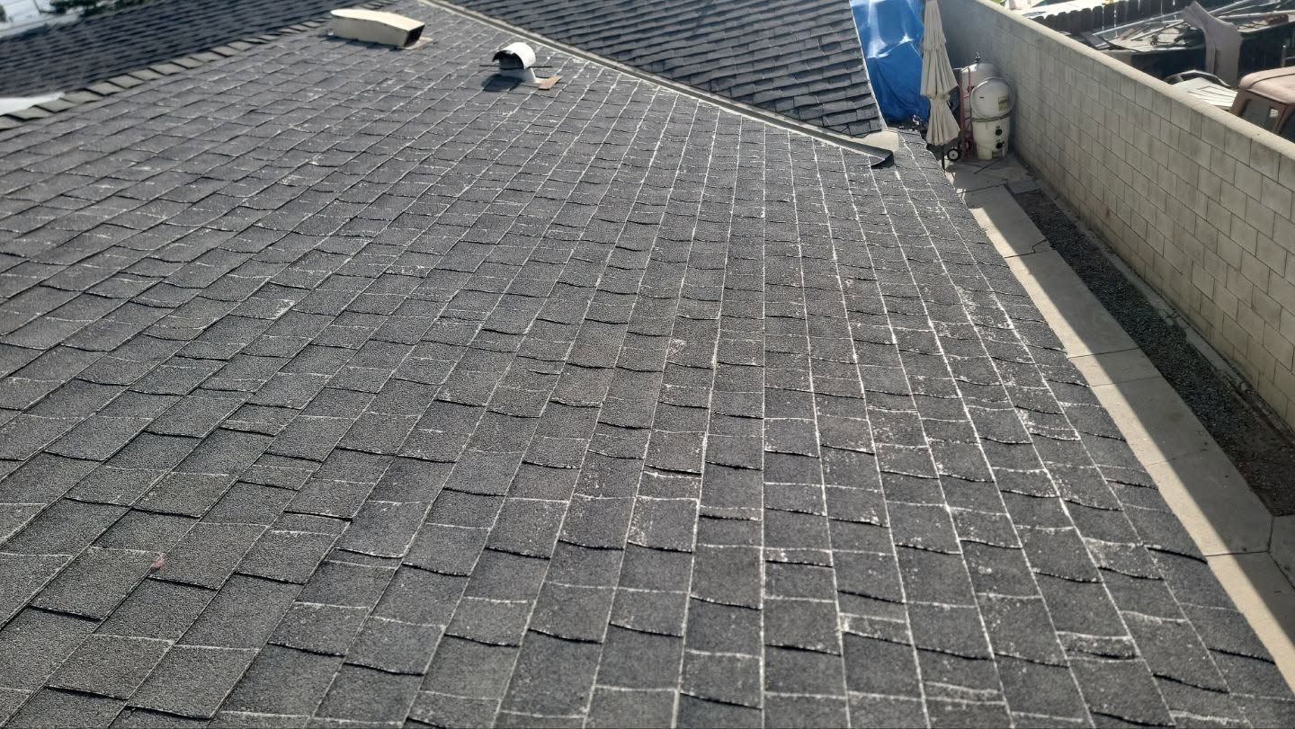 Rooftop with gray shingles, two vents, and a ladder beside a wall under blue sky.