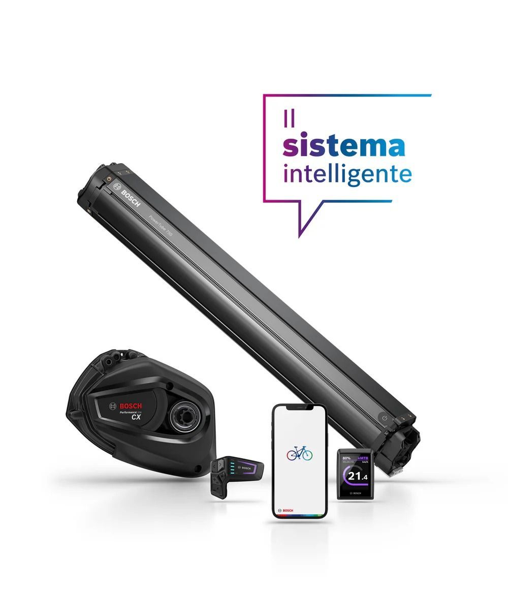 Un'immagine di una batteria di bicicletta con un telefono cellulare.