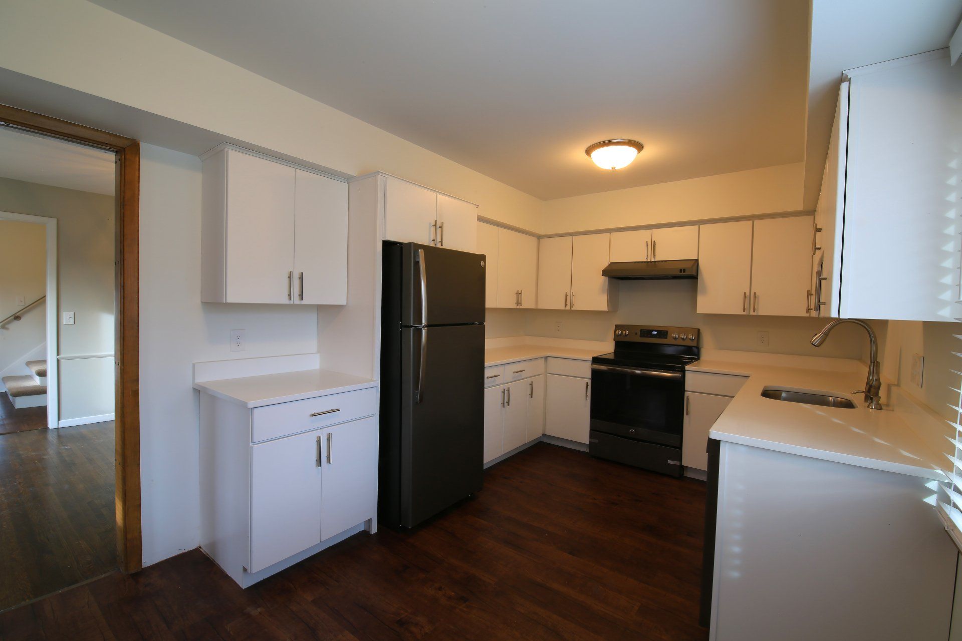 Edina Doubles Kitchen
