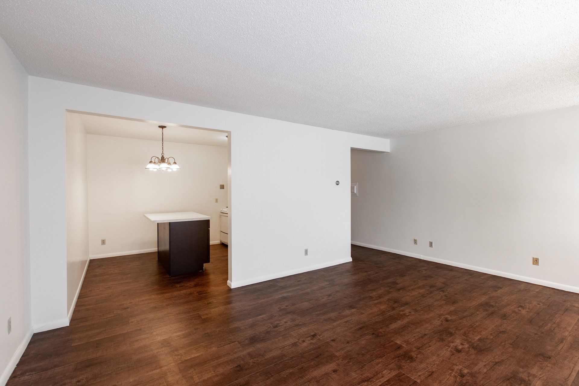 242 West Franklin Ave Living Room