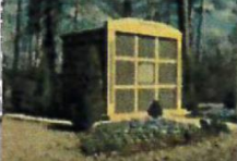 A yellow bus is parked in a field with trees in the background.
